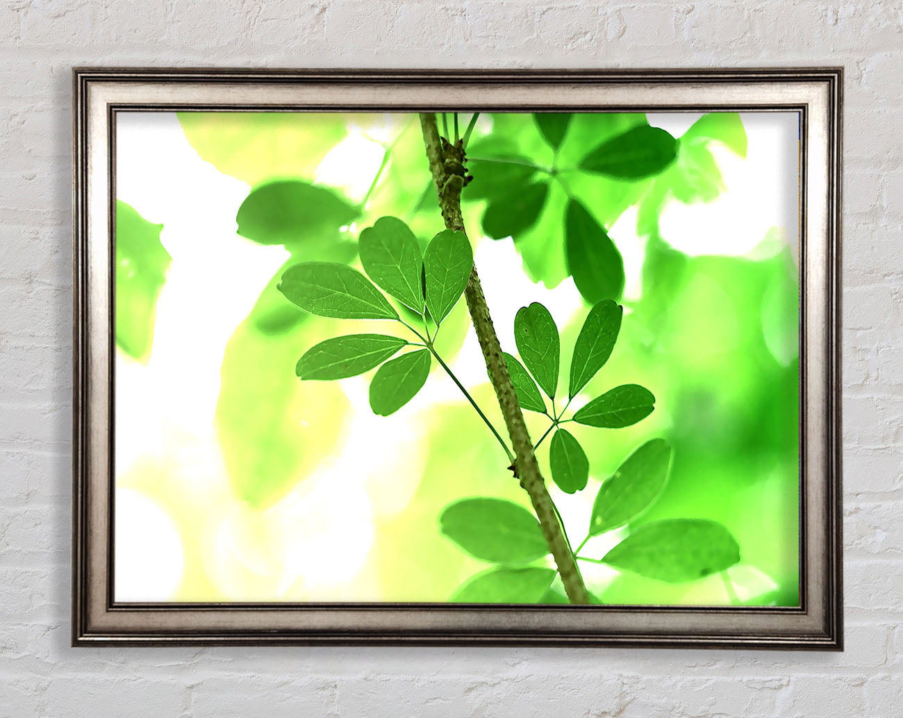 Spring Has Sprung Framed Print