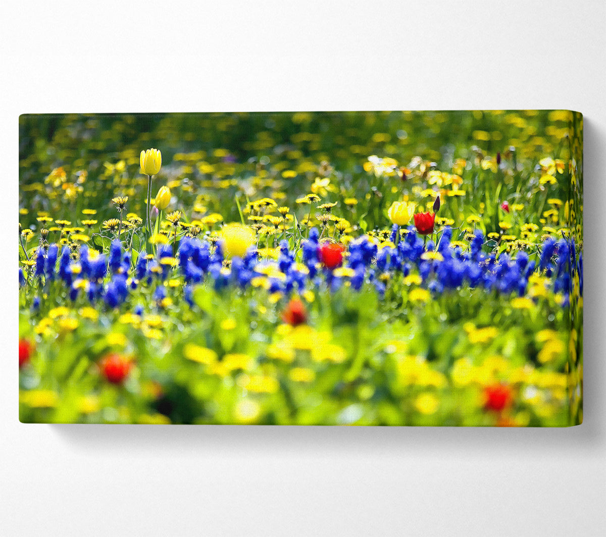 Spring Fling Canvas Print