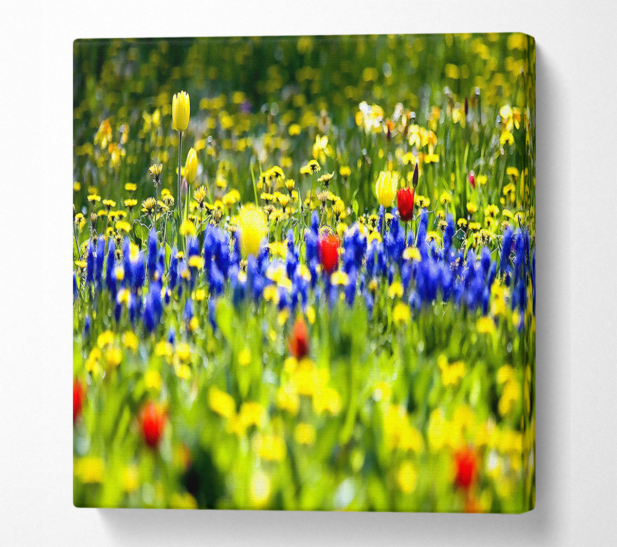 Spring Fling Canvas Print