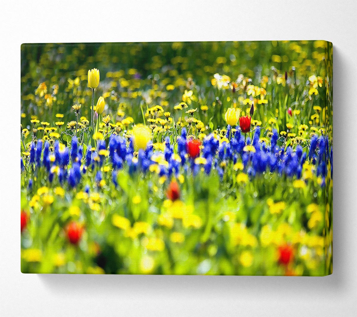 Spring Fling Canvas Print