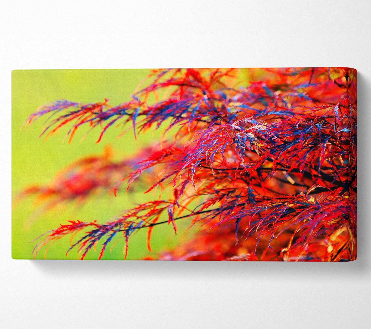 Red Leaves Shrub Canvas Wall Art