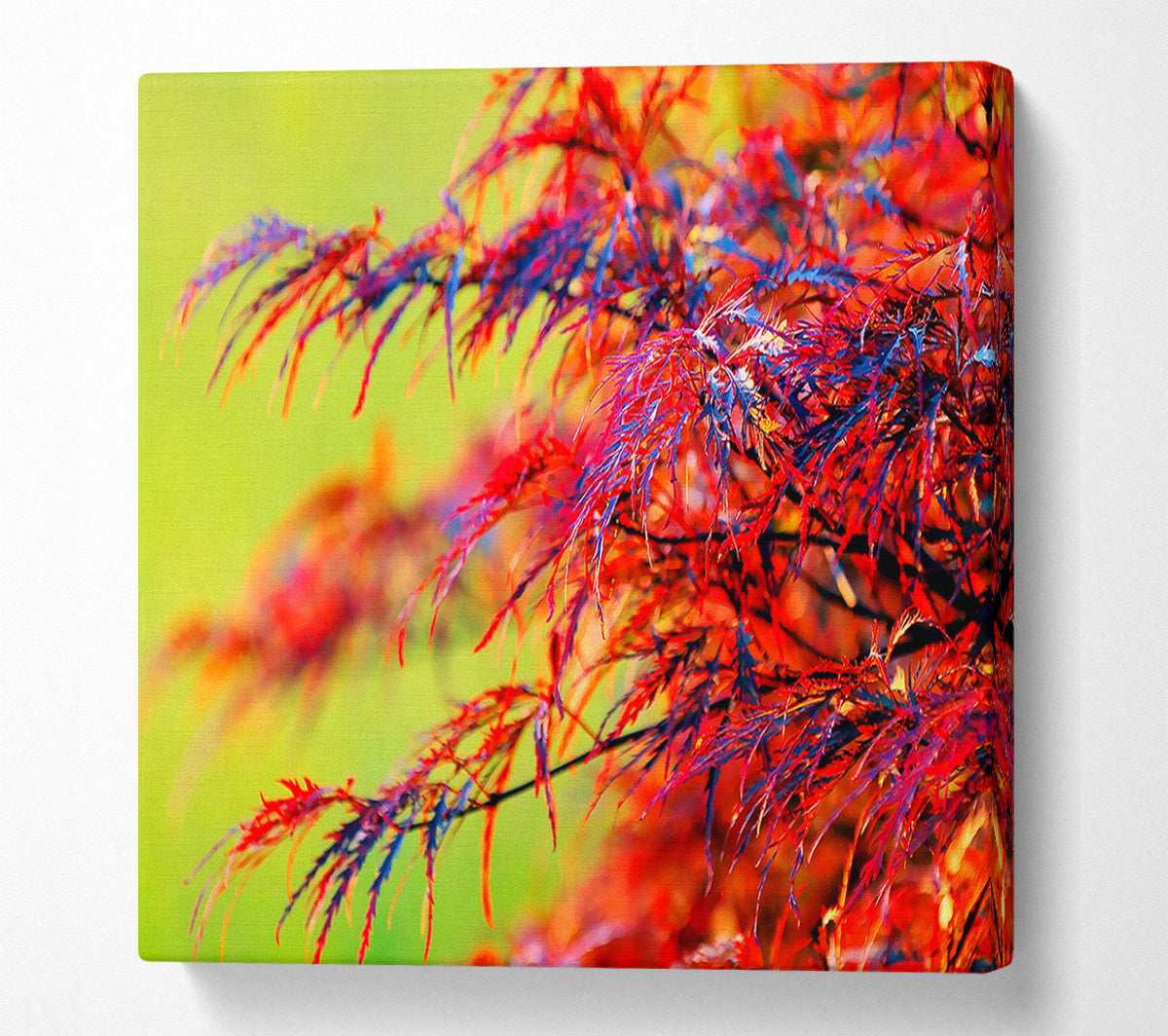 Red Leaves Shrub Canvas Wall Art