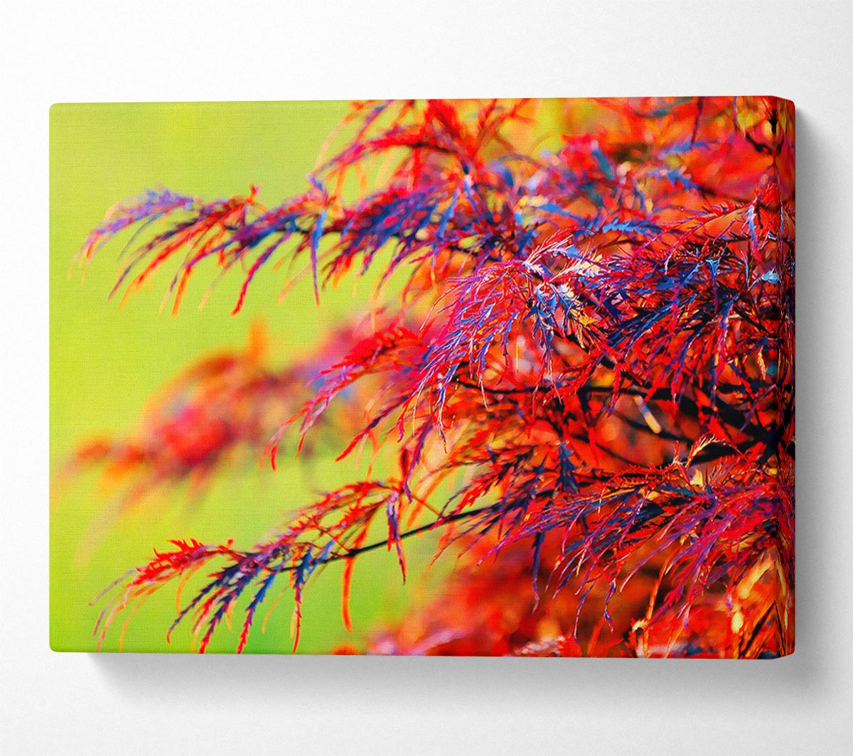 Red Leaves Shrub Canvas Wall Art