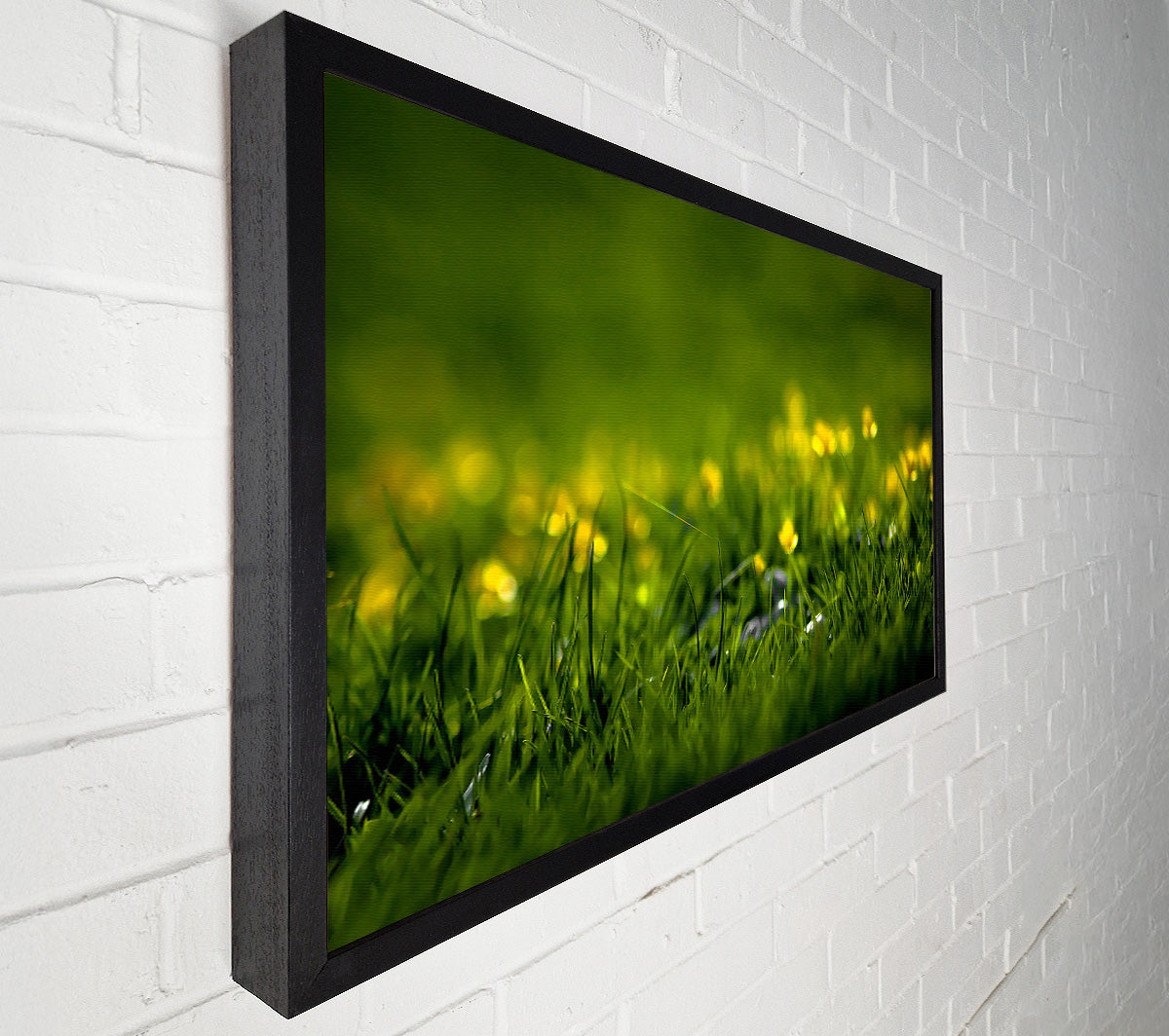 Summer Grass Canvas Wall Art
