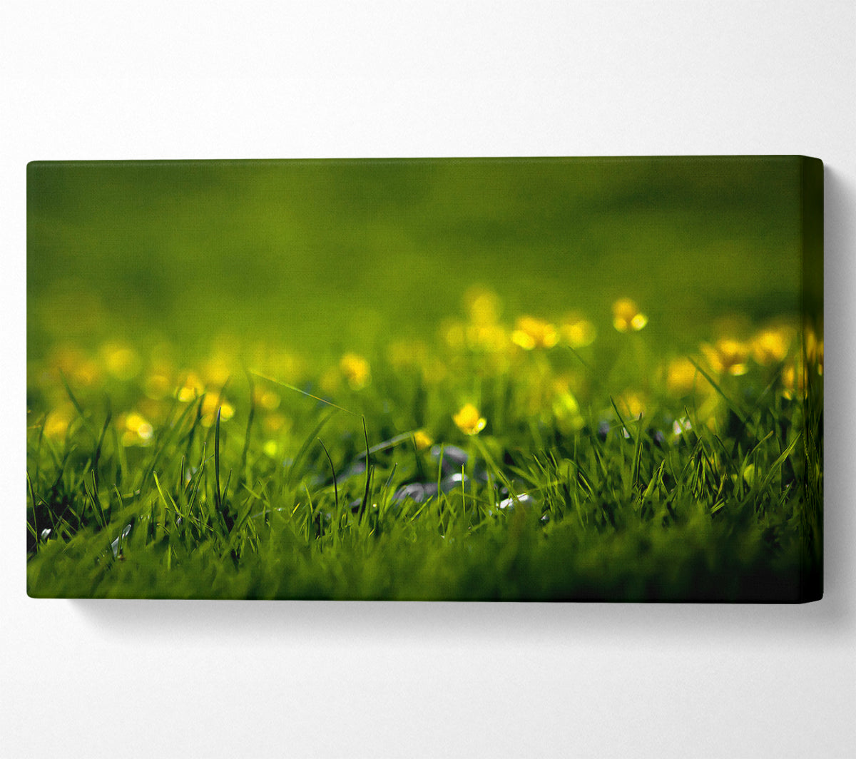 Summer Grass Canvas Wall Art