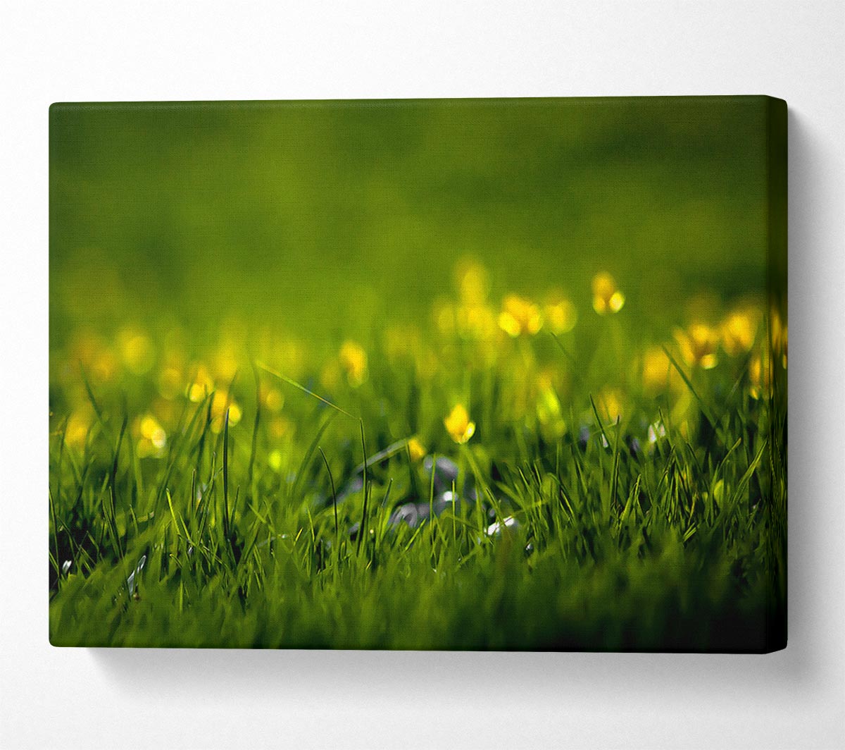 Summer Grass Canvas Wall Art