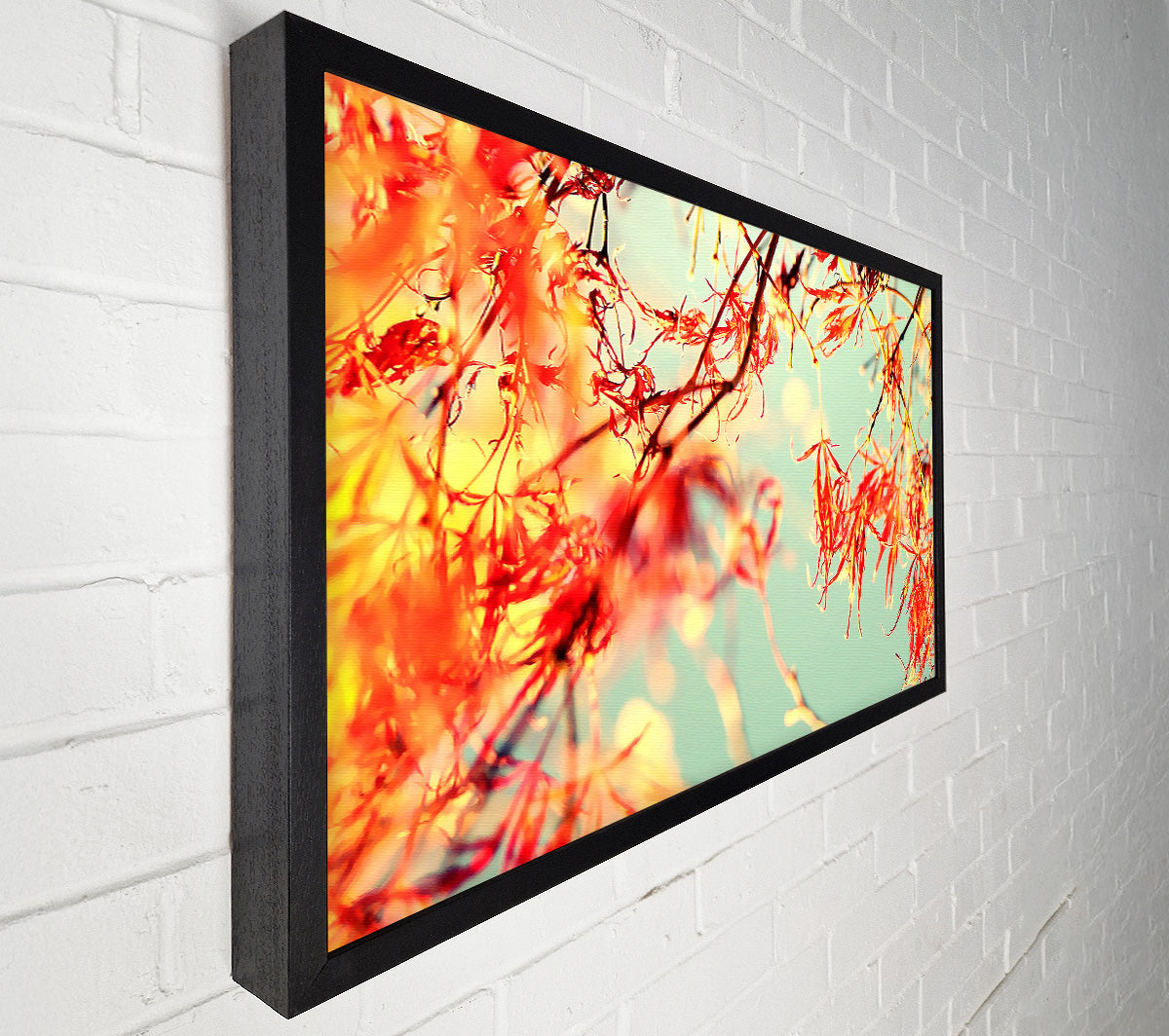 A Broader View Canvas Print