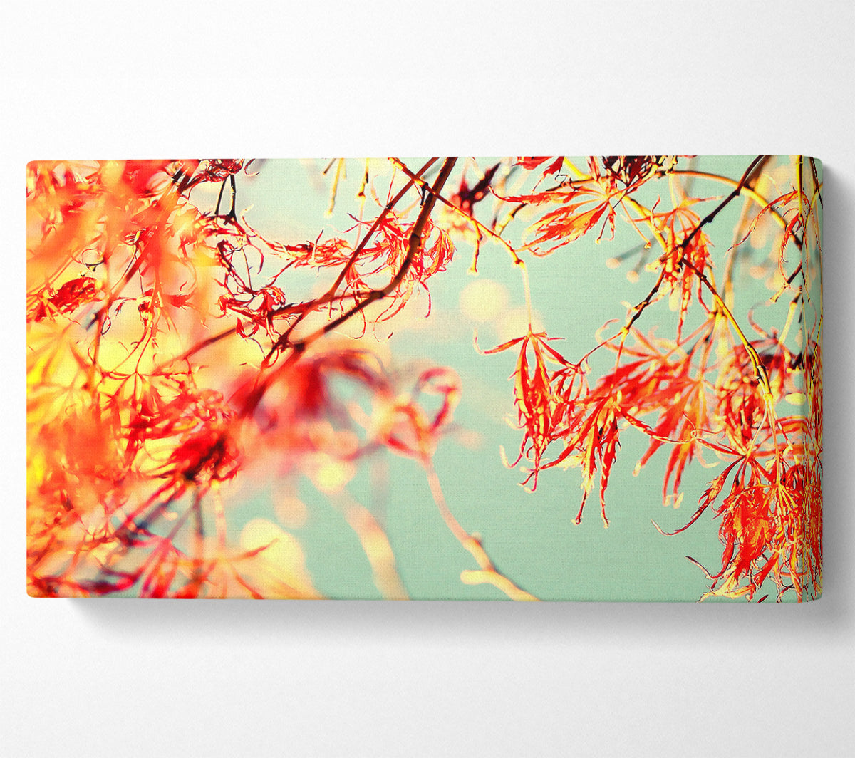 A Broader View Canvas Print