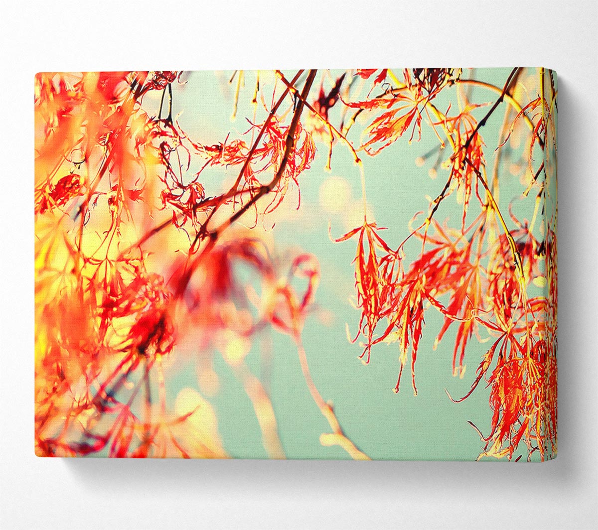 A Broader View Canvas Print