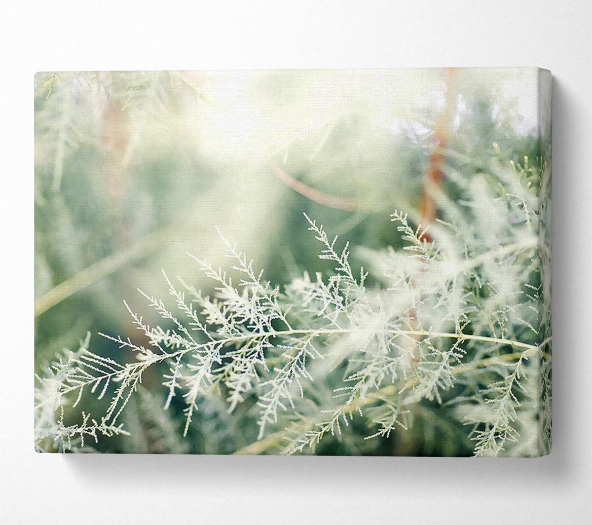 Winter Snow Leaves Canvas Wall Art