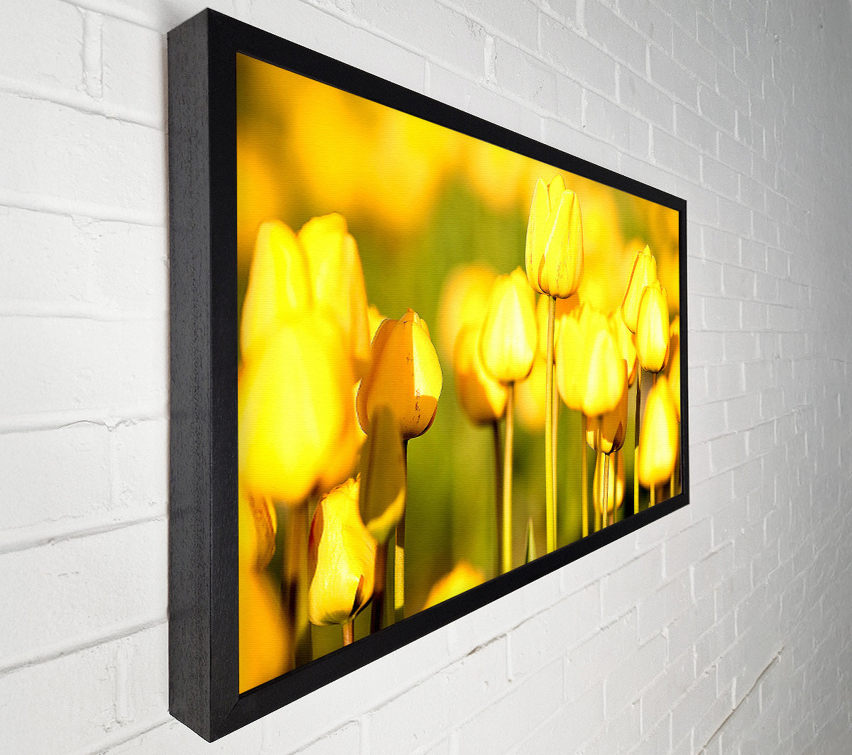 Yellow Tulips In The Garden Canvas Art