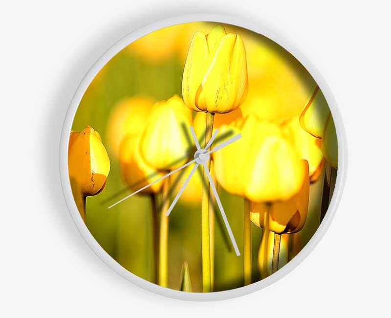 Yellow Tulips In The Garden