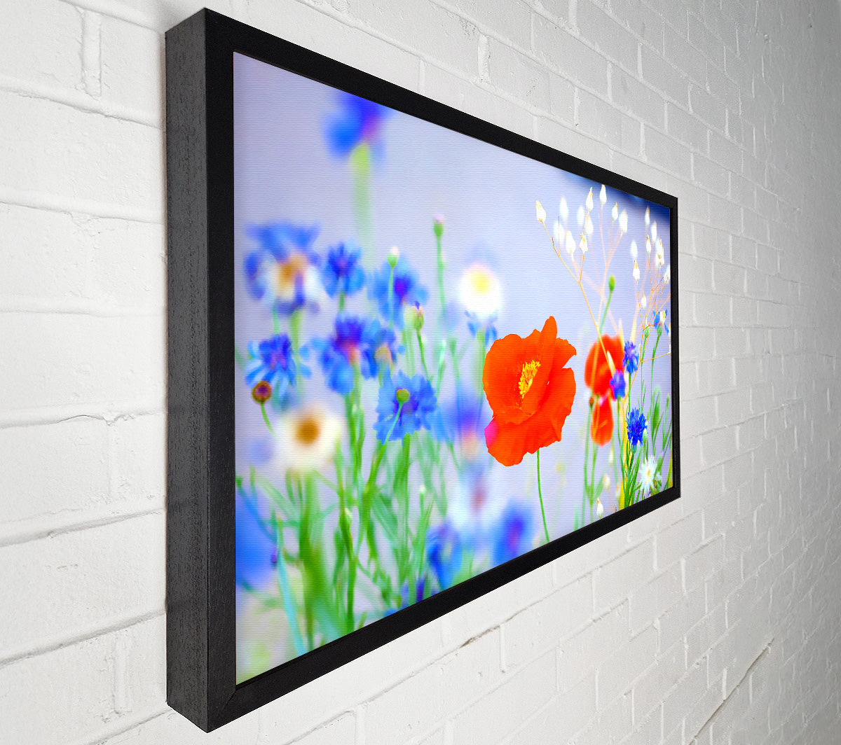 Lovely Poppy Garden Canvas Print