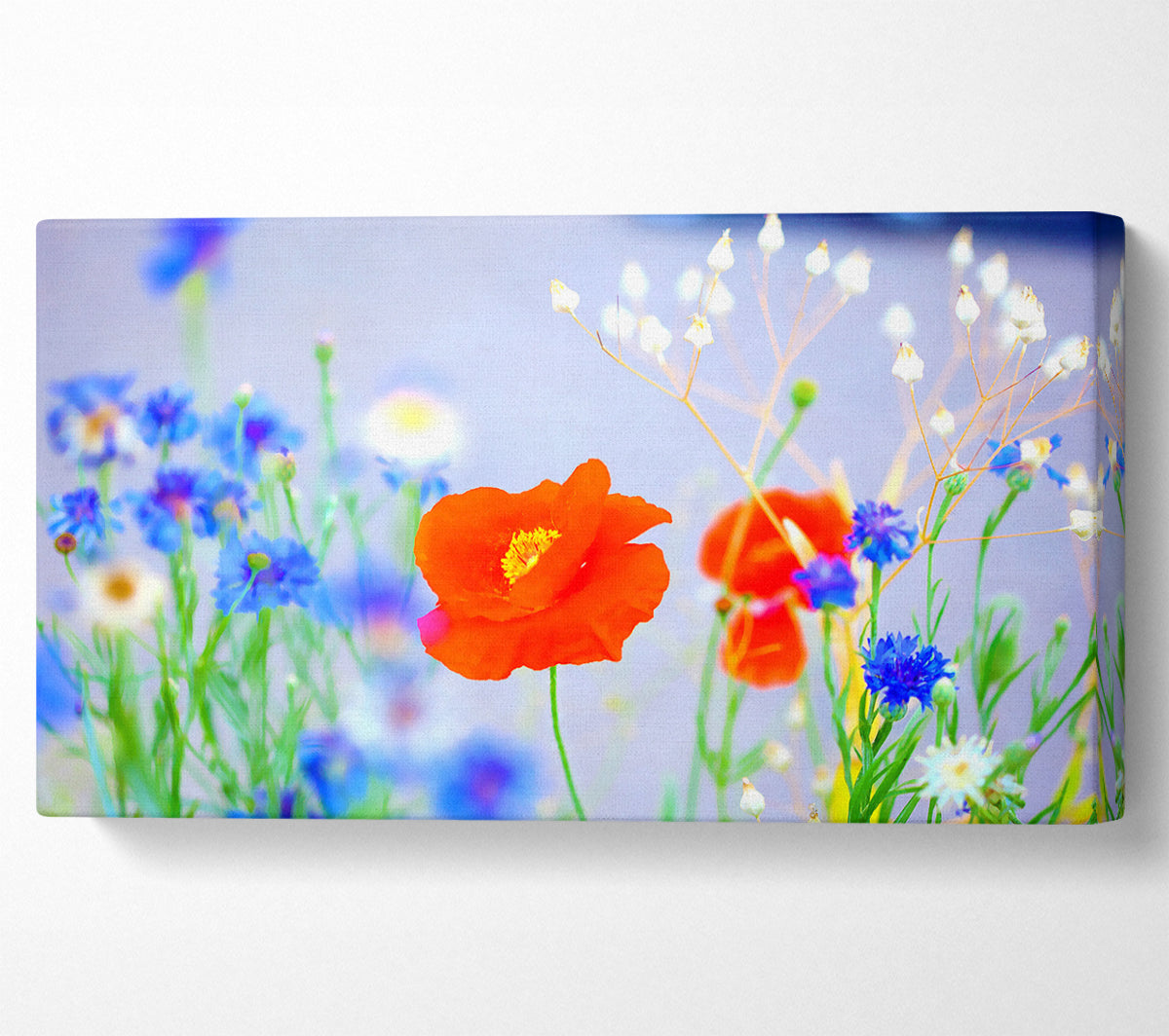 Lovely Poppy Garden Canvas Print