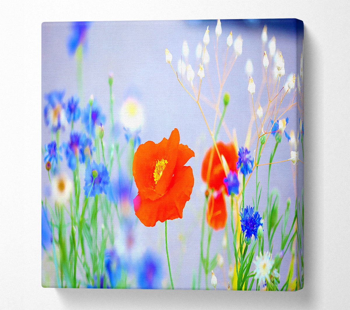Lovely Poppy Garden Canvas Print