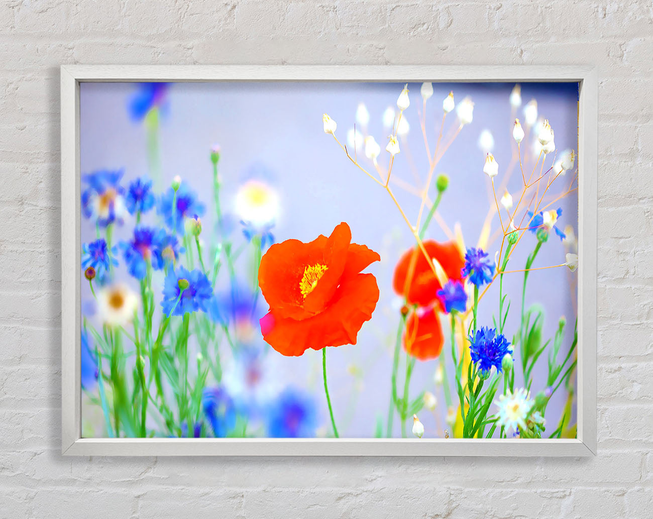 Lovely Poppy Garden Framed Print