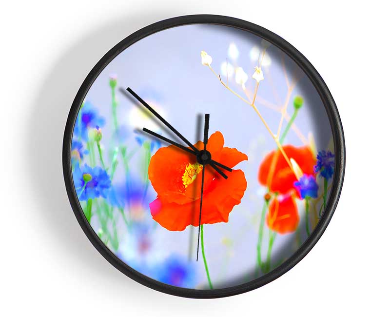 Lovely Poppy Garden