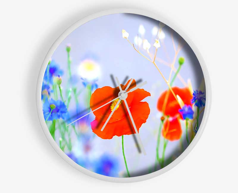 Lovely Poppy Garden