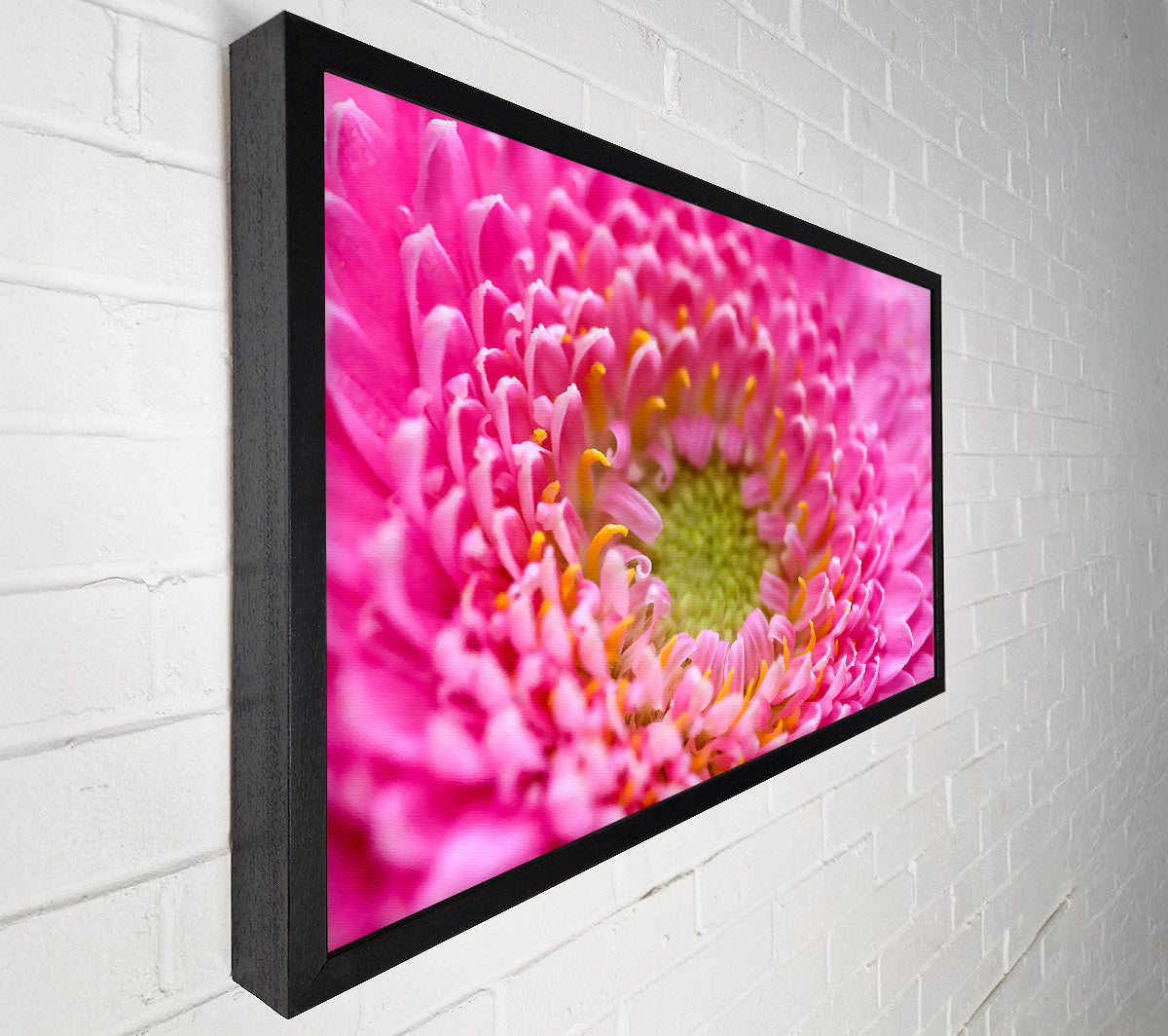 Pink Flower Centre Canvas Wall Art