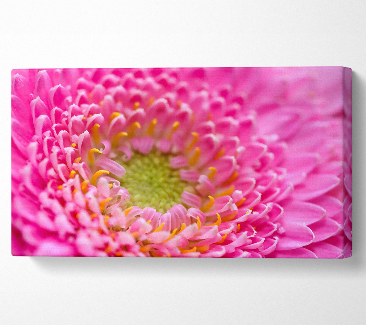 Pink Flower Centre Canvas Wall Art