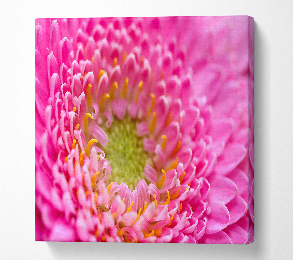 Pink Flower Centre Canvas Wall Art