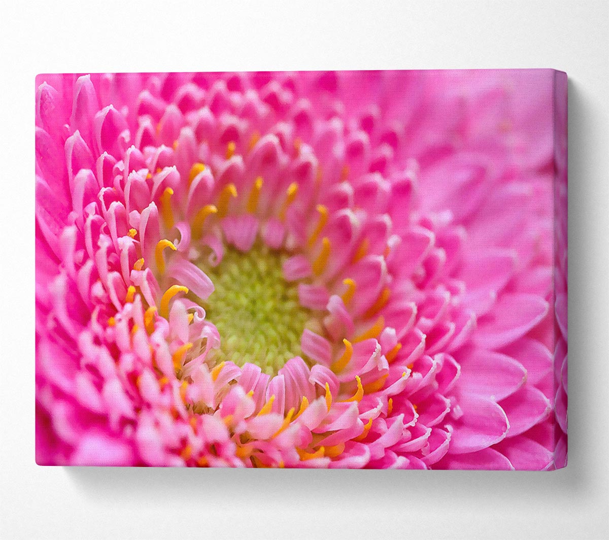 Pink Flower Centre Canvas Wall Art
