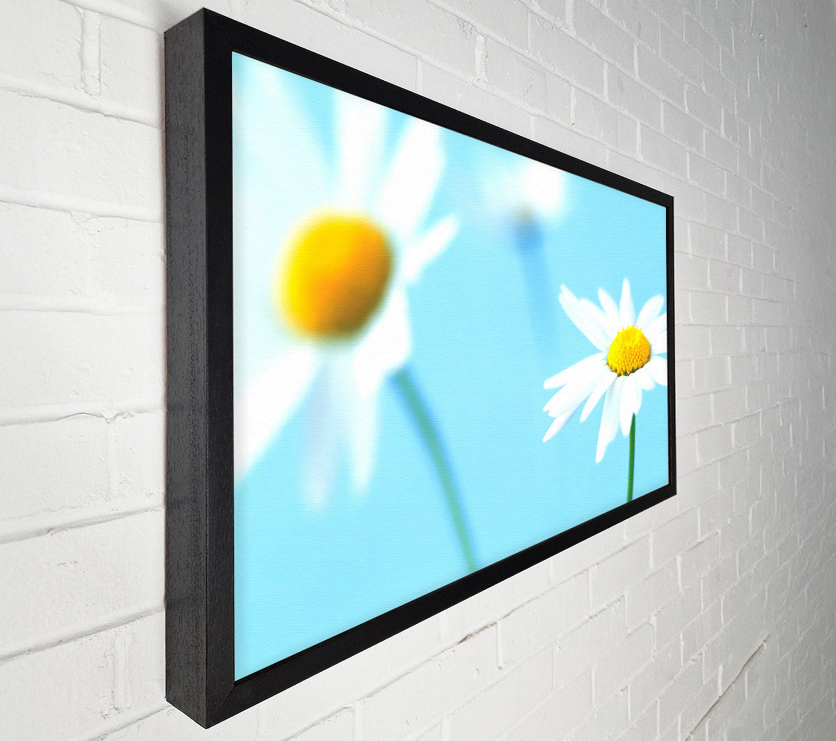 White Daisies On Blue Canvas Wall Art