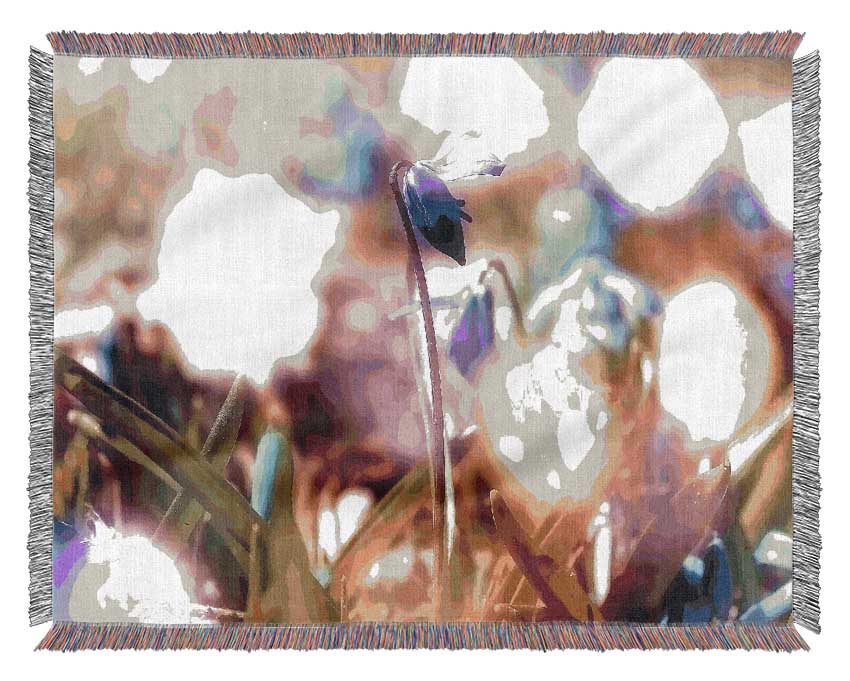 Soft Purples In The Garden