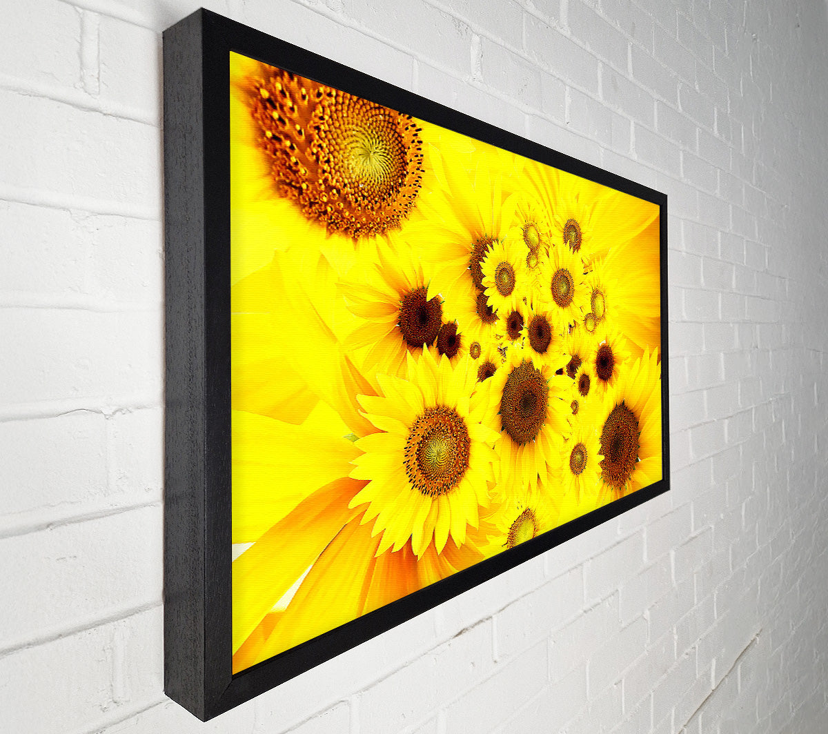 Sunflowers Galore Canvas Wall Art