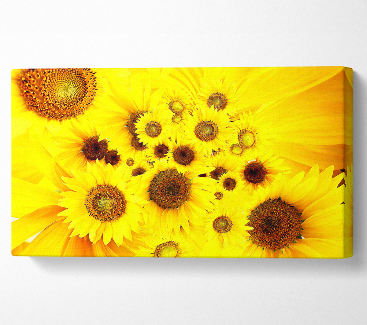 Sunflowers Galore Canvas Wall Art