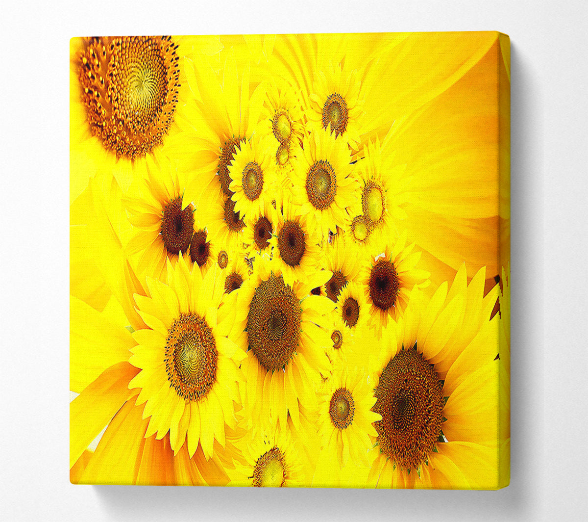 Sunflowers Galore Canvas Wall Art