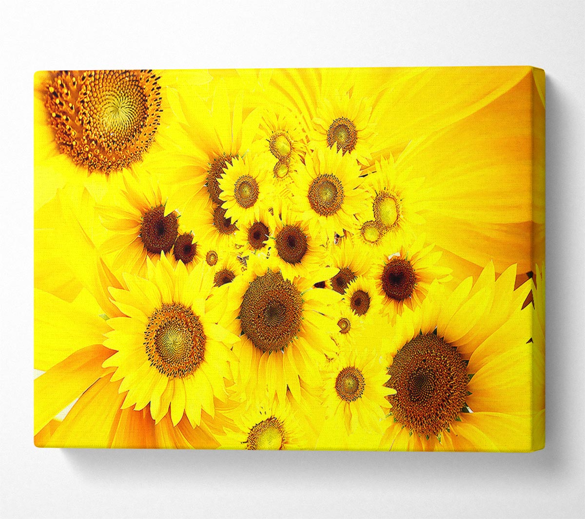 Sunflowers Galore Canvas Wall Art
