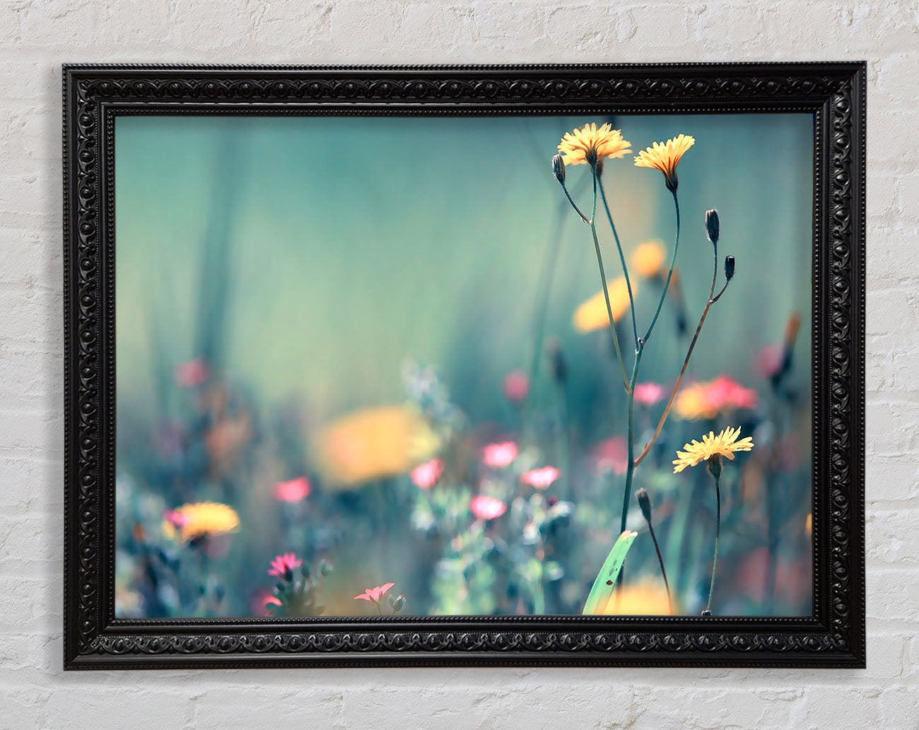Dandelion Garden Framed Print