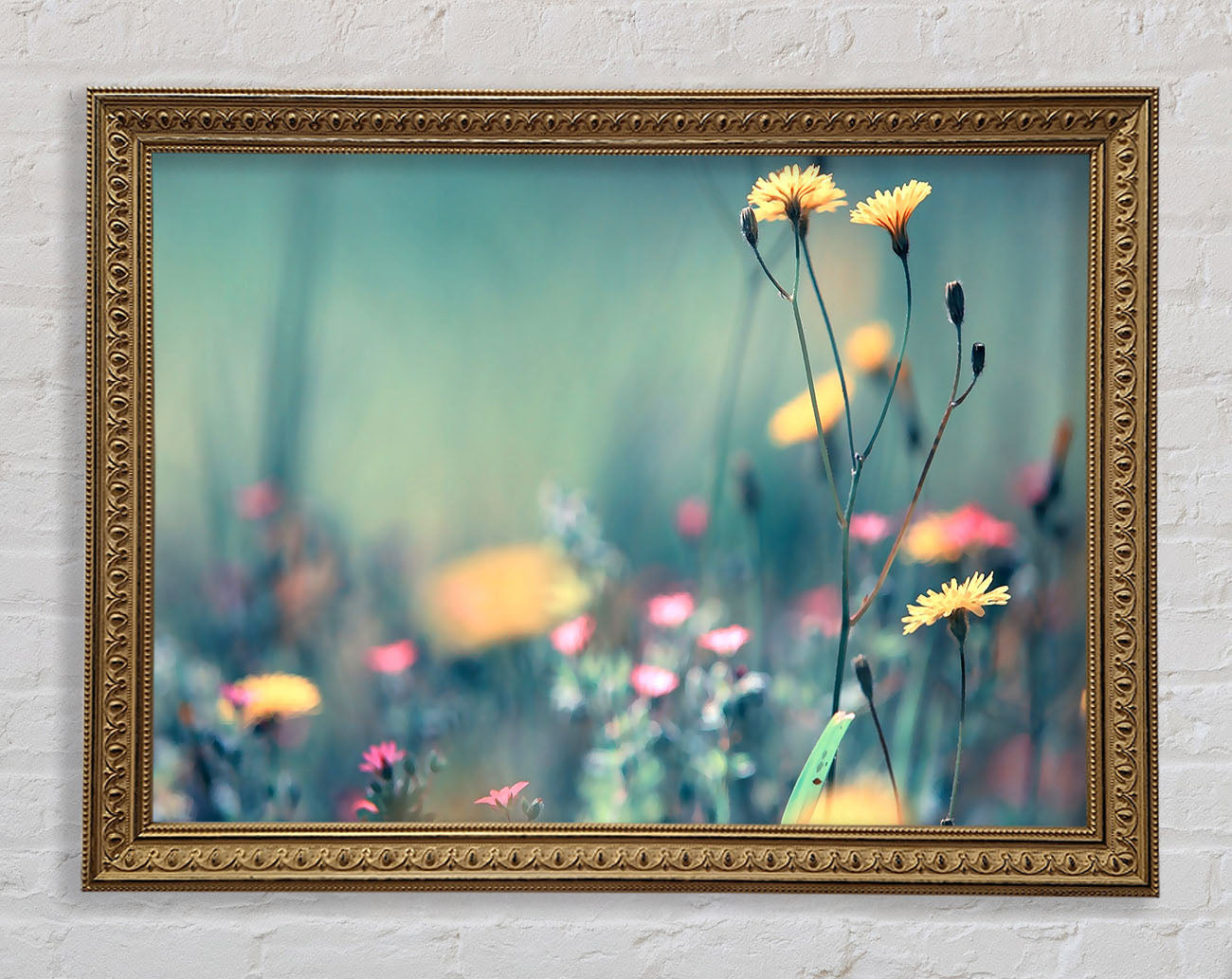 Dandelion Garden Framed Print