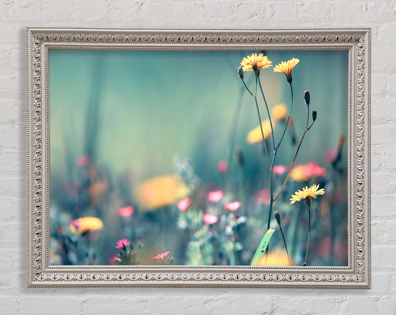 Dandelion Garden Framed Print