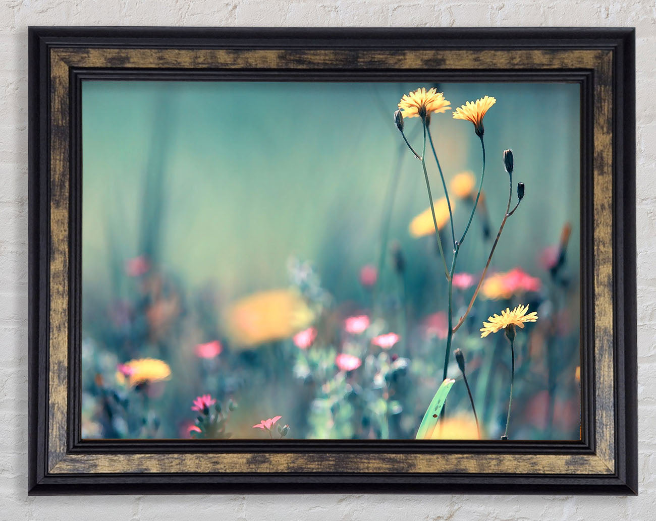 Dandelion Garden Framed Print