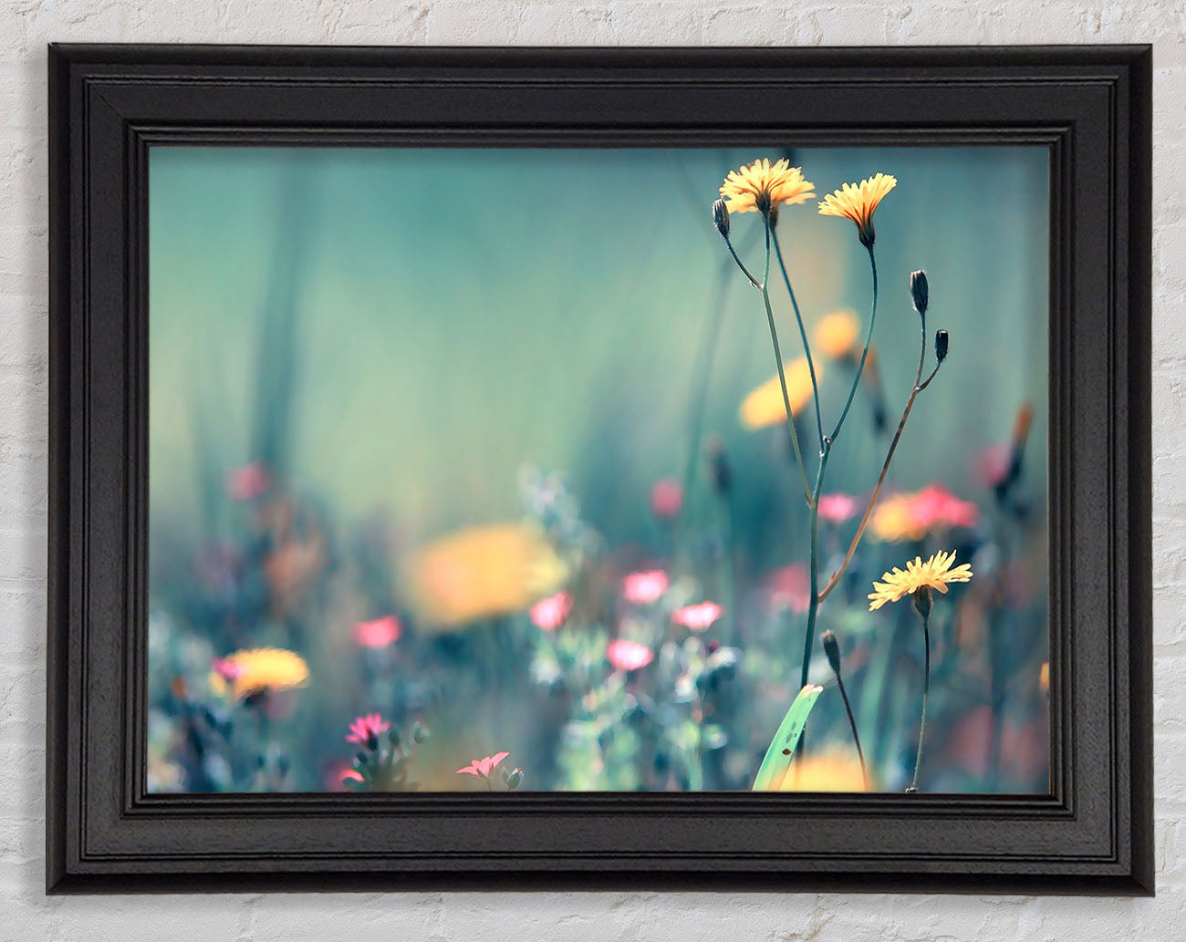 Dandelion Garden Framed Print