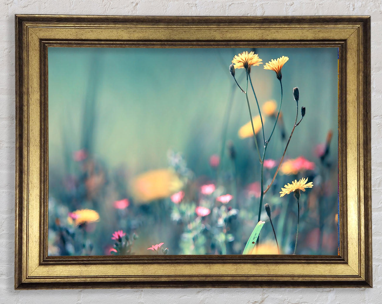 Dandelion Garden Framed Print