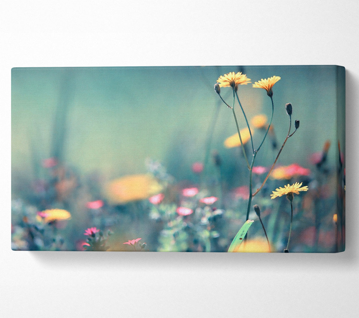 Dandelion Garden Canvas Art