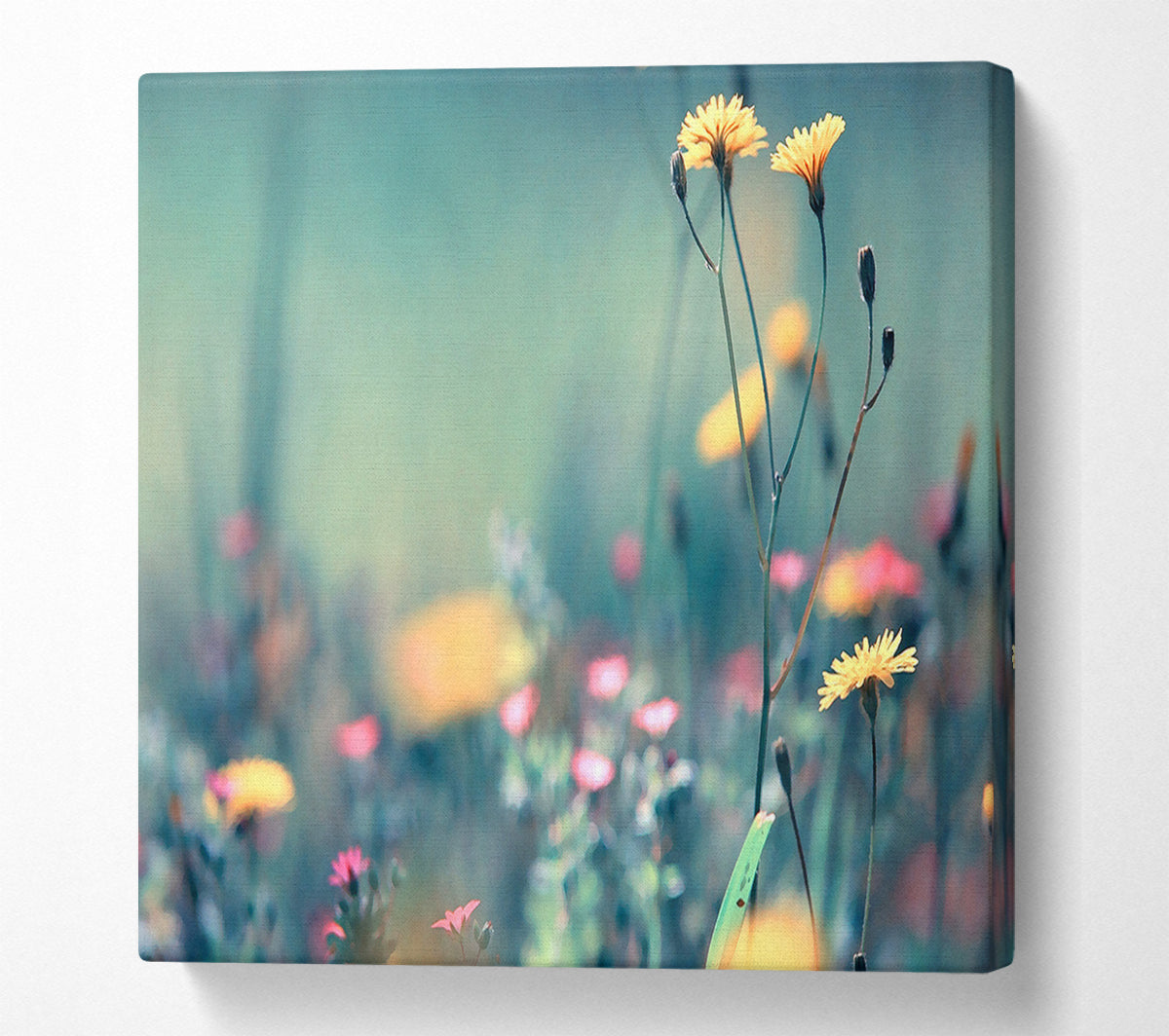 Dandelion Garden Canvas Art