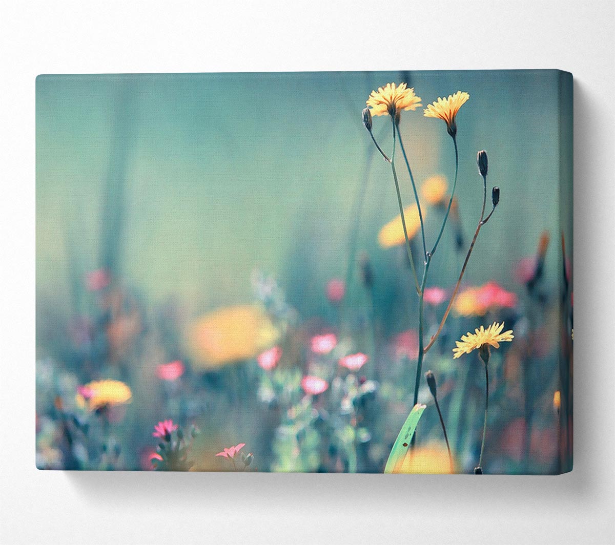 Dandelion Garden Canvas Art