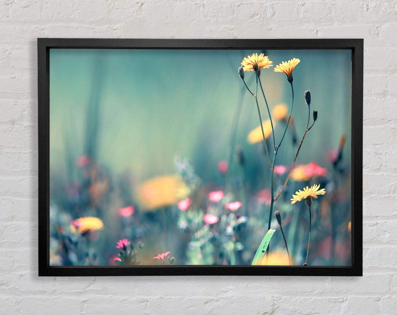 Dandelion Garden Framed Print