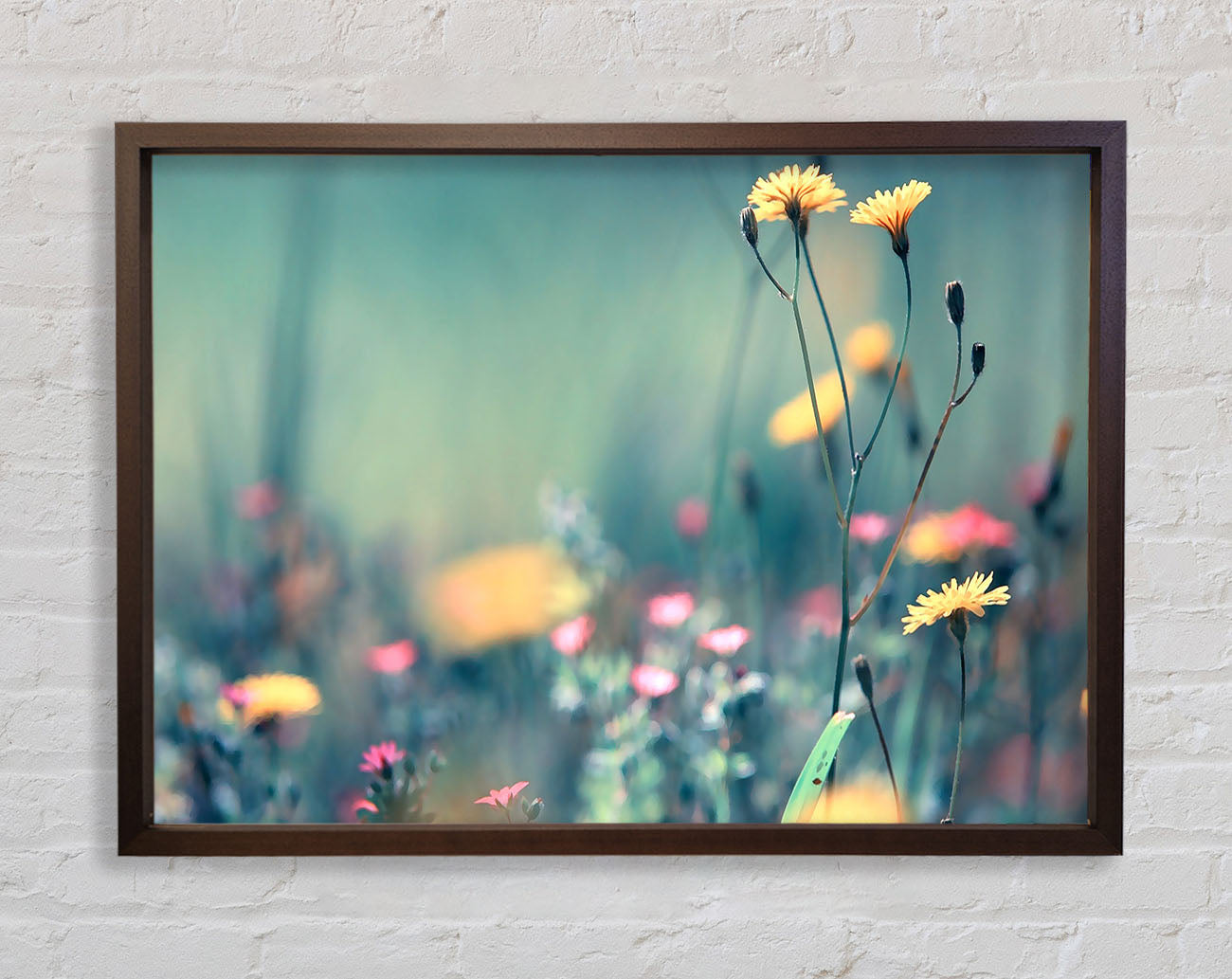 Dandelion Garden Framed Print