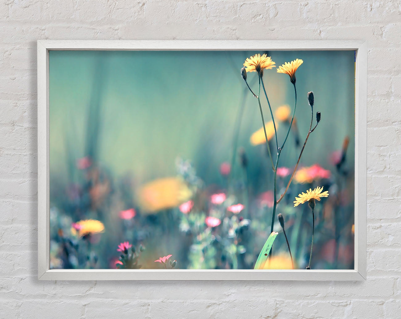 Dandelion Garden Framed Print
