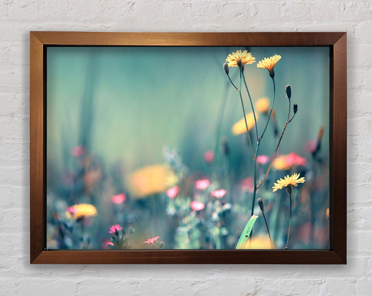 Dandelion Garden Framed Print
