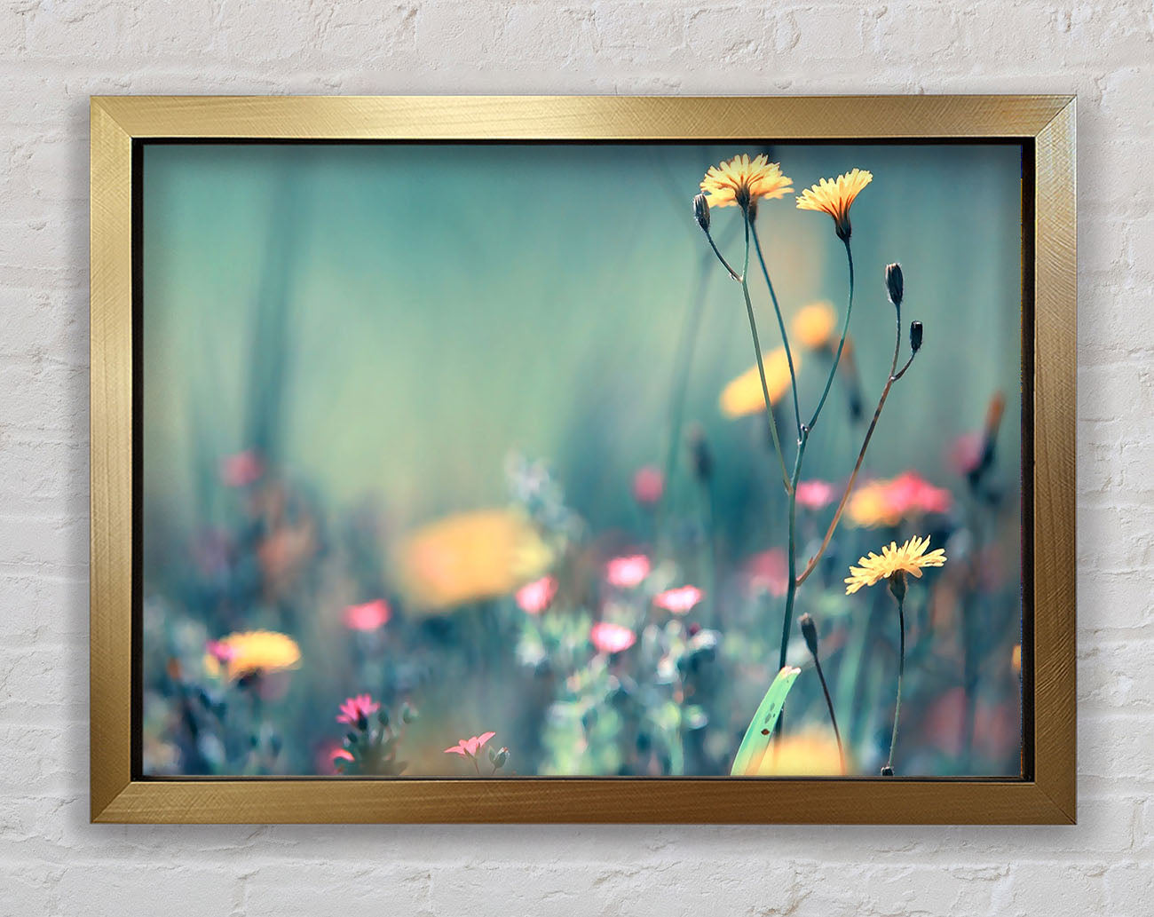 Dandelion Garden Framed Print