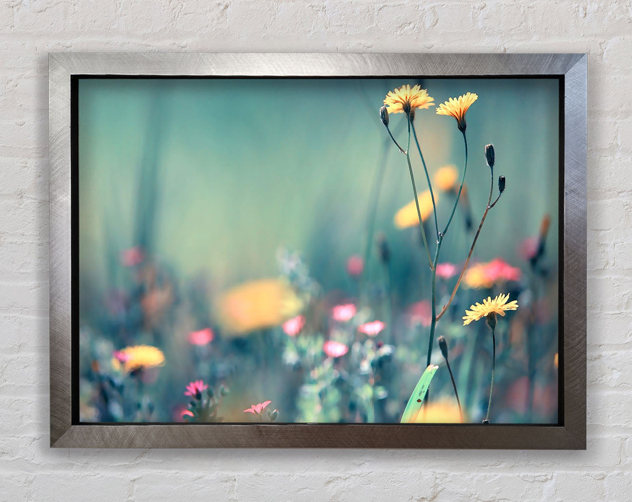 Dandelion Garden Framed Print