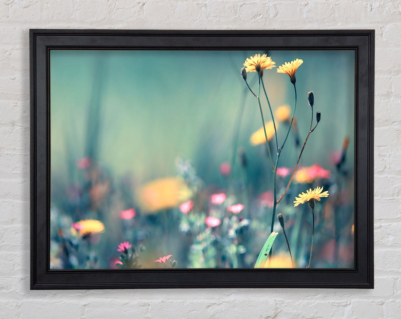 Dandelion Garden Framed Print
