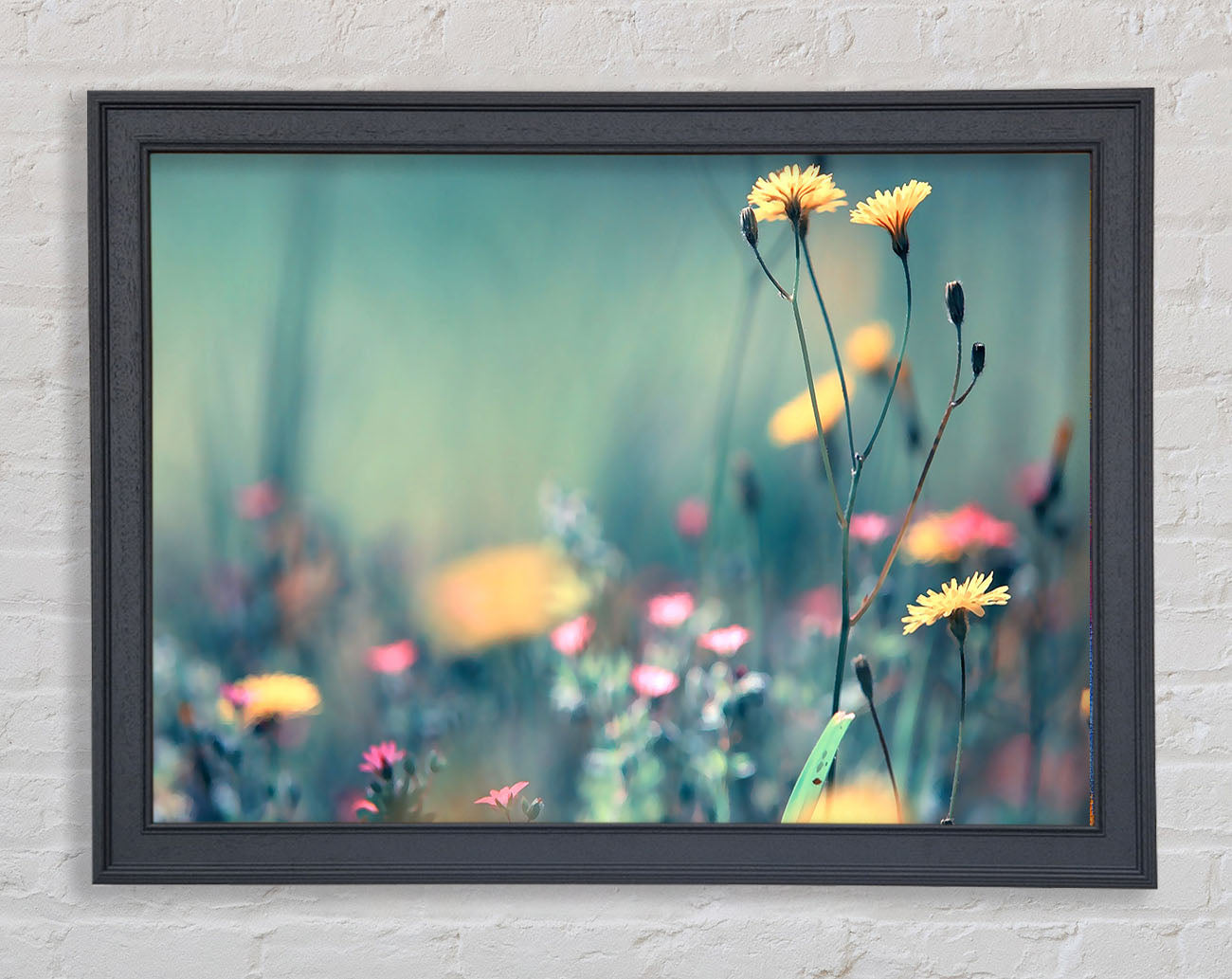 Dandelion Garden Framed Print