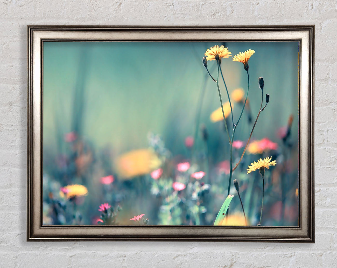 Dandelion Garden Framed Print